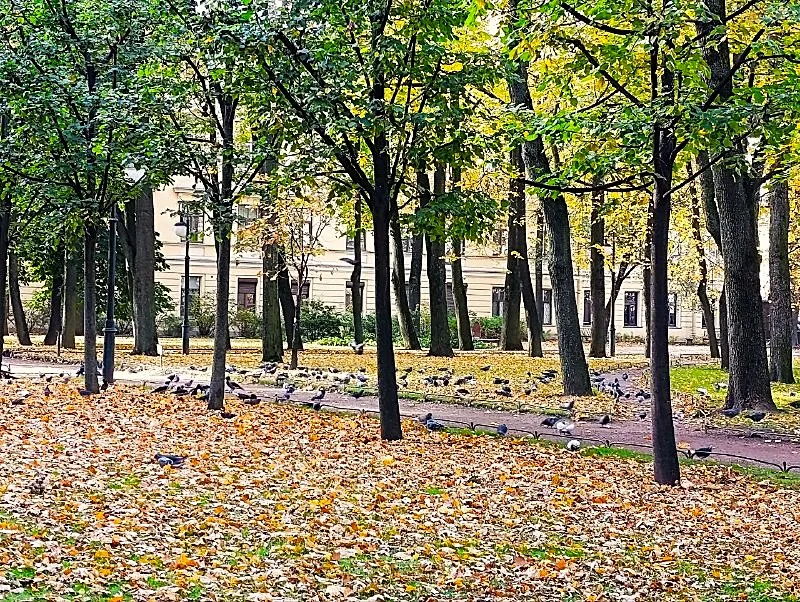 Тепло возвращается: днем в Петербурге до +12 градусов