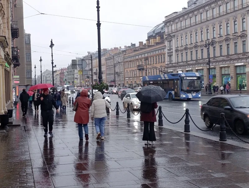 Петербург и Ленобласть ждет похолодание с начала ноября